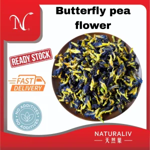 Butterfly pea flower 蝶豆花