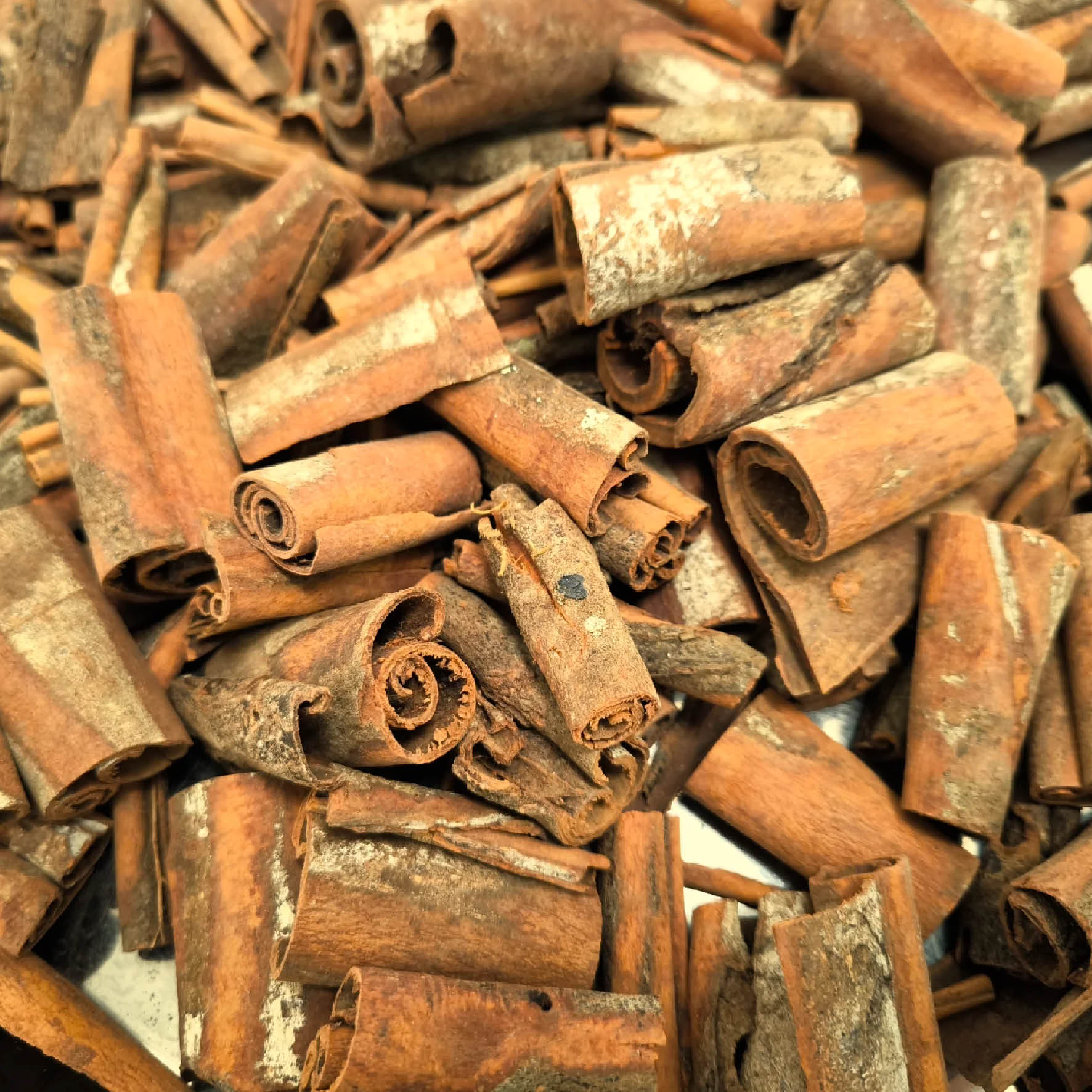 Cinnamon