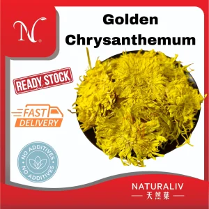 Golden Chrysanthemum 金丝皇菊花