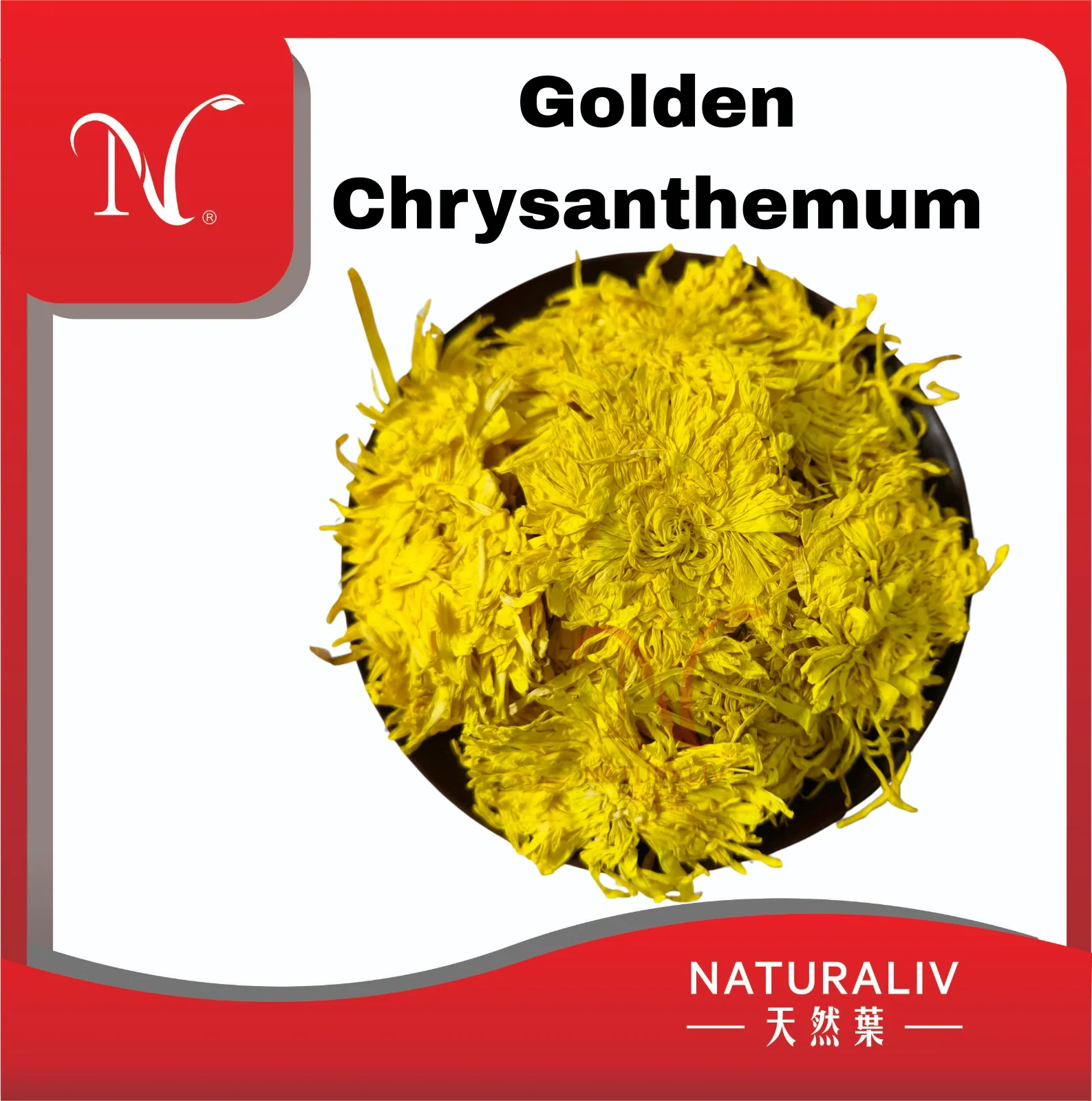 Golden Chrysanthemum 金丝皇菊花 Golden Chrysanthemum 金丝皇菊花