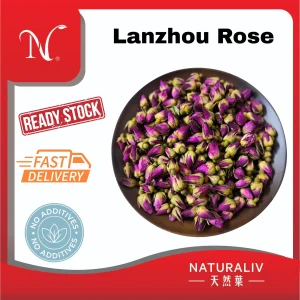 Lanzhou Rose 兰州玫瑰