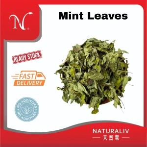 薄荷叶|Mint Leaves