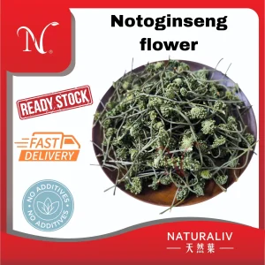 Notoginseng flower 田七花