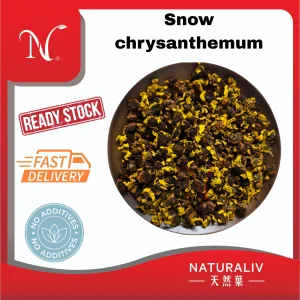 Snow chrysanthemum雪菊
