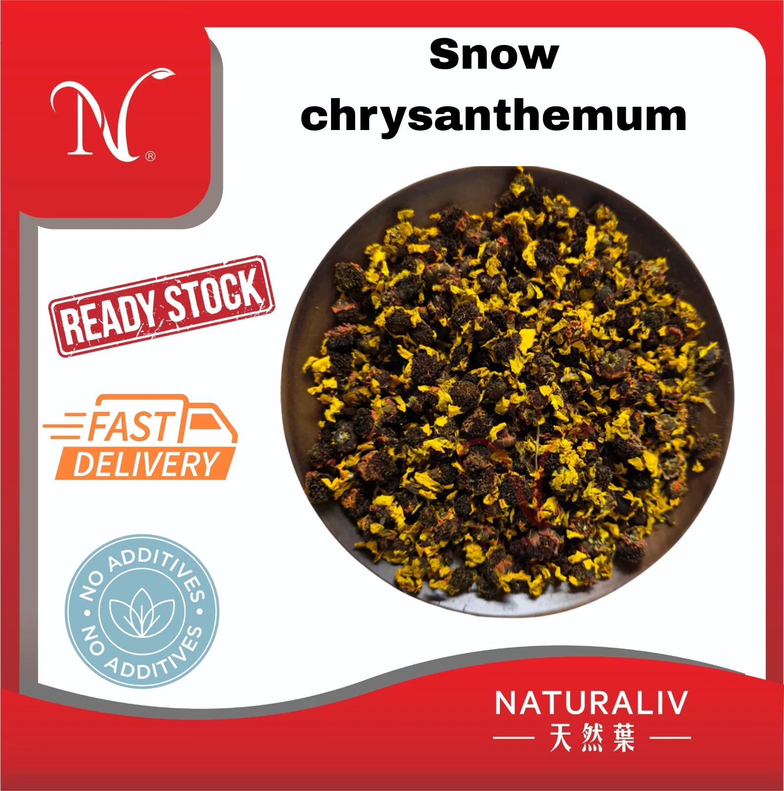 Snow chrysanthemum雪菊 Snow chrysanthemum雪菊