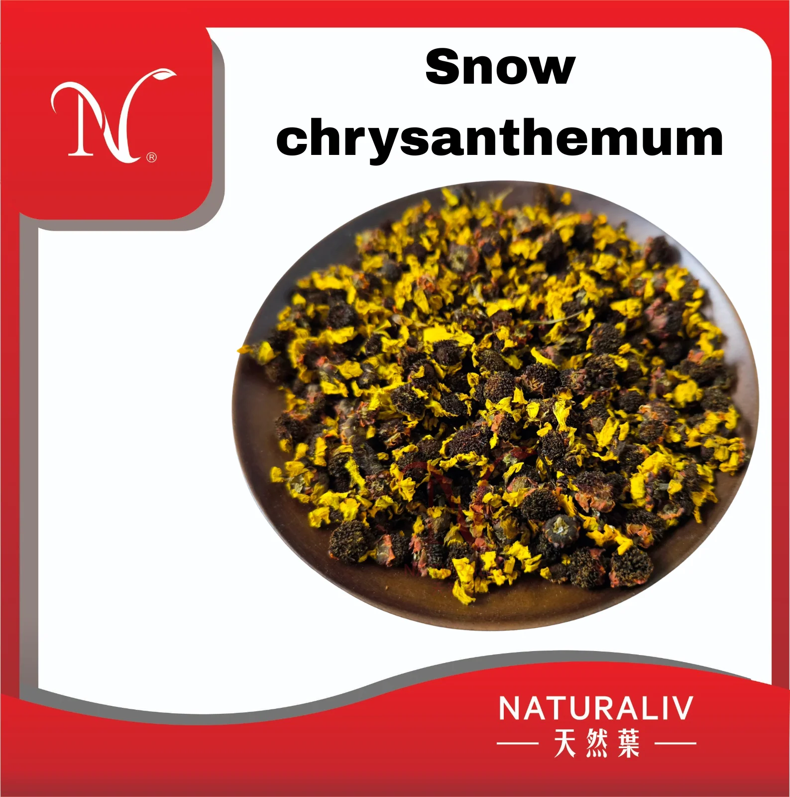 Snow chrysanthemum雪菊 Snow chrysanthemum雪菊